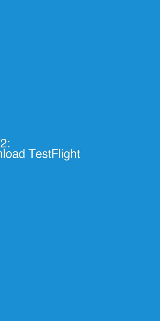 Lade TestFlight herunter (falls nötig)